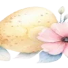 🎀