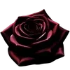 🥀