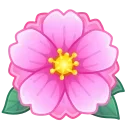 🌸