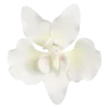 🌸