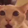 🤯