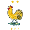 🇫🇷