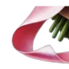 🌷