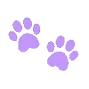 🐾