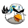 🐦