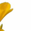 ⭐️