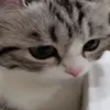👀