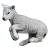 🐑
