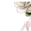 🌼