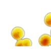 🌼