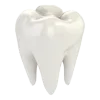 🦷