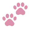 🐾