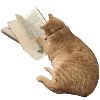🤍