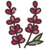 🌺