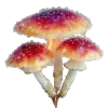🍄‍🟫