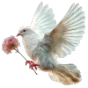 🕊