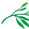 🌿