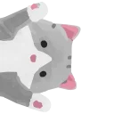 🐈