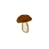 🍄