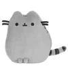 🐈