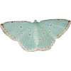 🦋