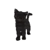 🐈‍⬛