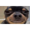 😁