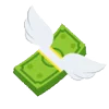 💸