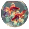 🐠