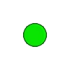 🟢
