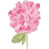 🌸