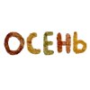 🍂