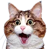 🤪