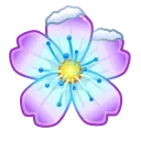 🌸