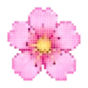 🩷