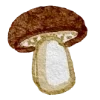 🍄