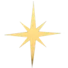 🌟