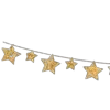 🌟