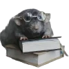 🐀