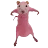 🐀