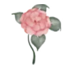 🌹