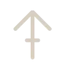 🪶
