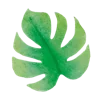 🌿