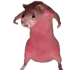 🐀
