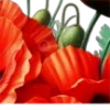 🌺