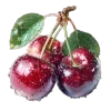 🍒