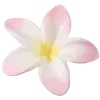 🌸
