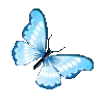 💙