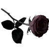 🥀