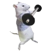 🐀